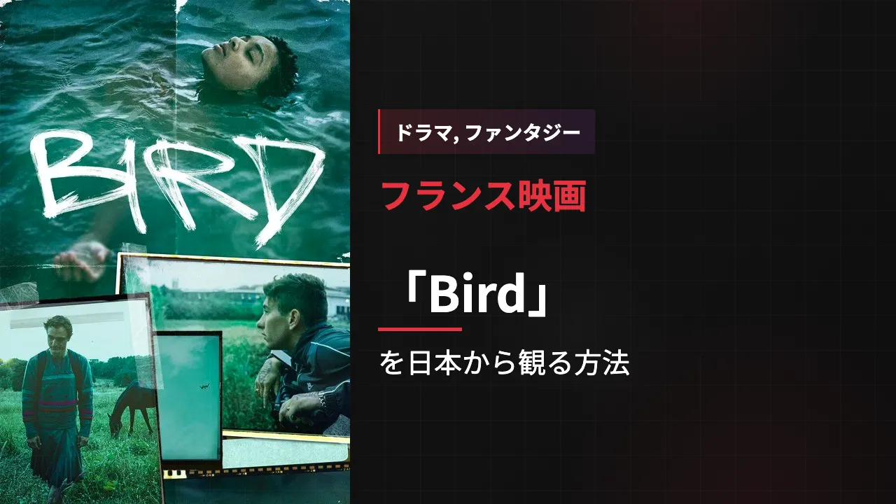 映画「Bird」を日本から観る方法